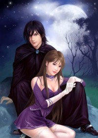 四合院：厨师的悠闲人生